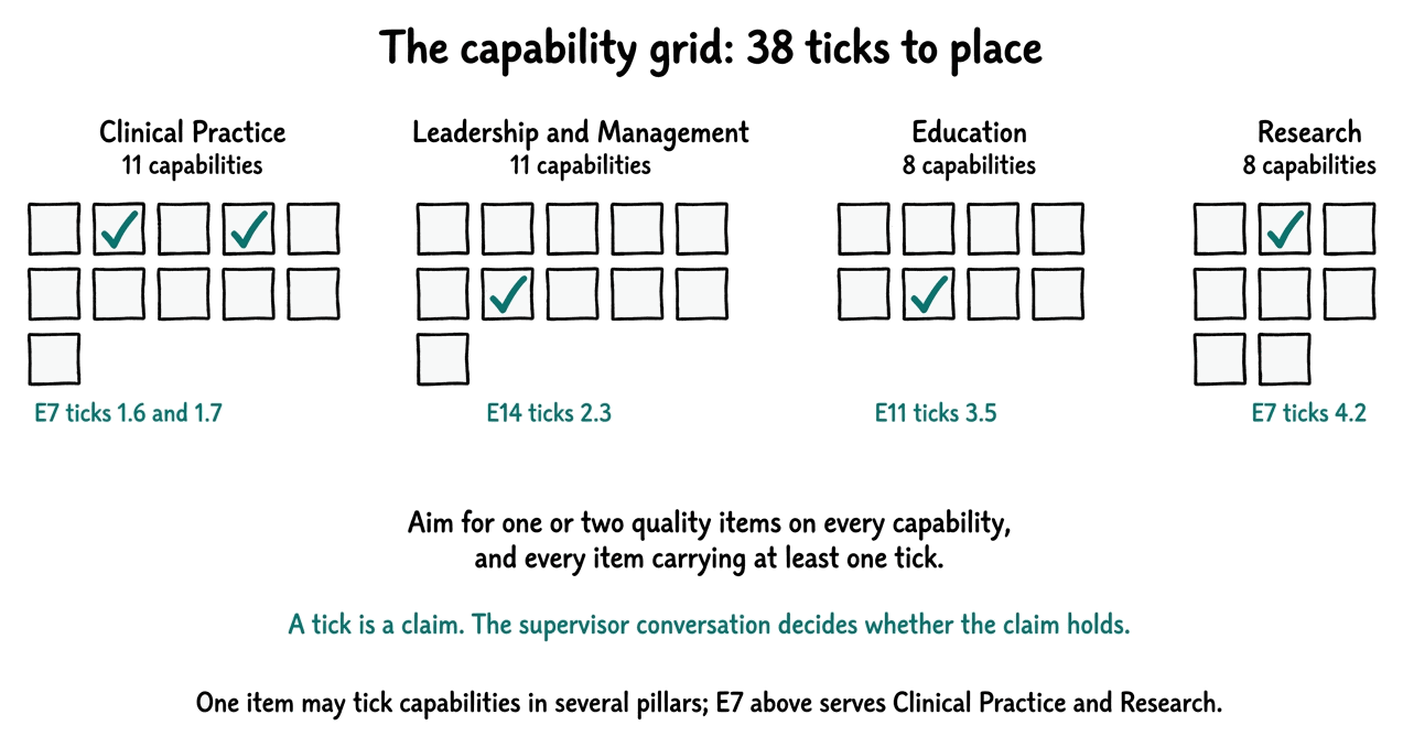 The capability grid: four pillar columns of eleven, eleven, eight and eight cells with example ticks placed by evidence items E7, E14 and E11.